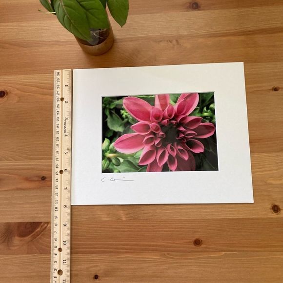 New Original Signed Photography - Picture 4 of 5